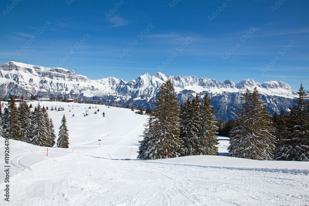 Fototapeta premium Skiing slope