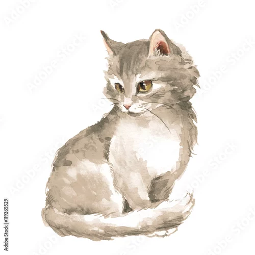 Naklejka na ścianę Kot 1. Szary puszysty kotek. Malarstwo akwarelowe
