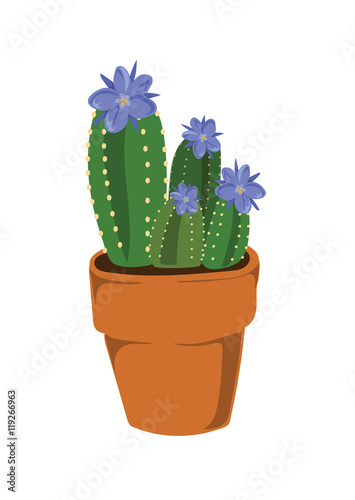 Cactus with blue flowers