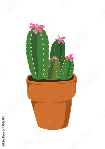 Cactus with pink flowers