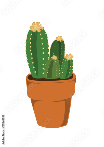 Cactus with yellow flowers 