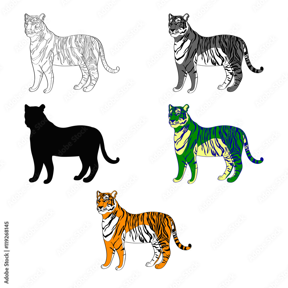 Naklejka premium vector illustration depicting a tiger. line silhouette, black and white, color