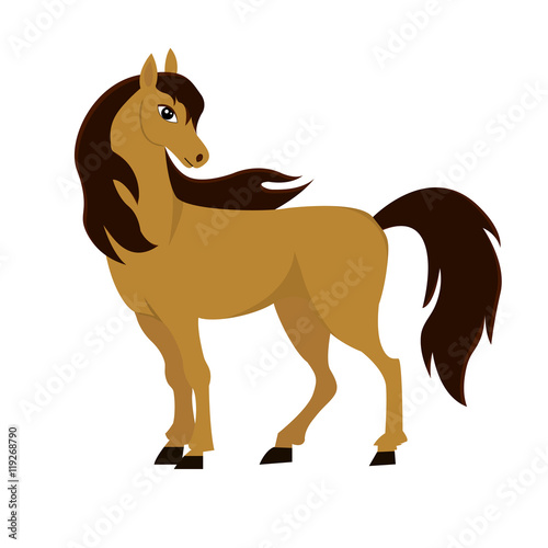 Brown horse  isolated on white background