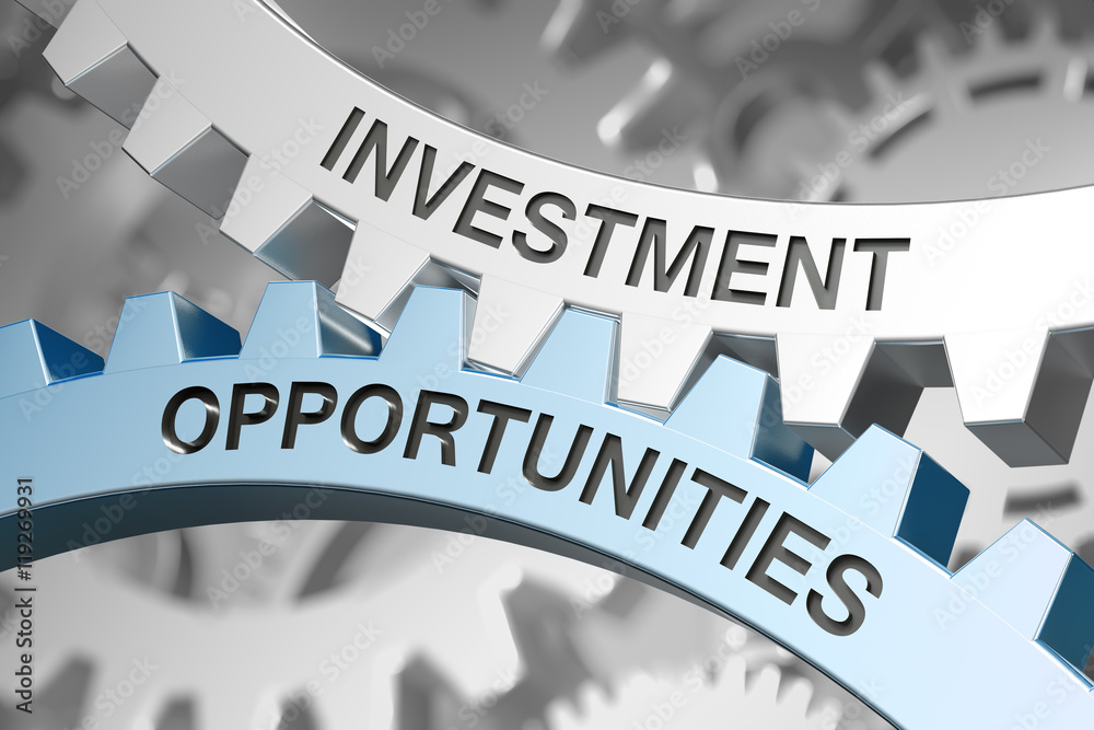 Opportunity For Investment Opportunity For Investment