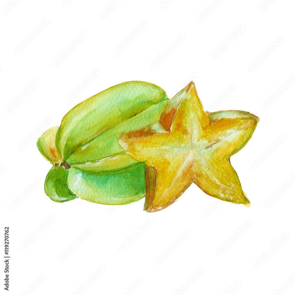 carambola. isolated on a white background. watercolor illustration. carambola. isolated on a white background. watercolor illustration.