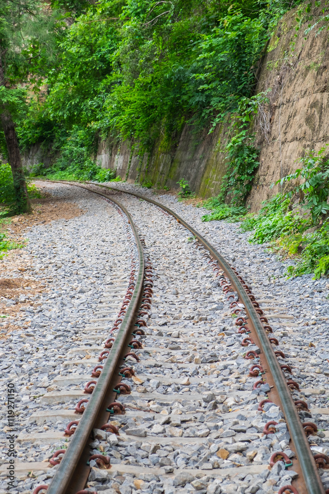 The railway along the cliff and tree called 