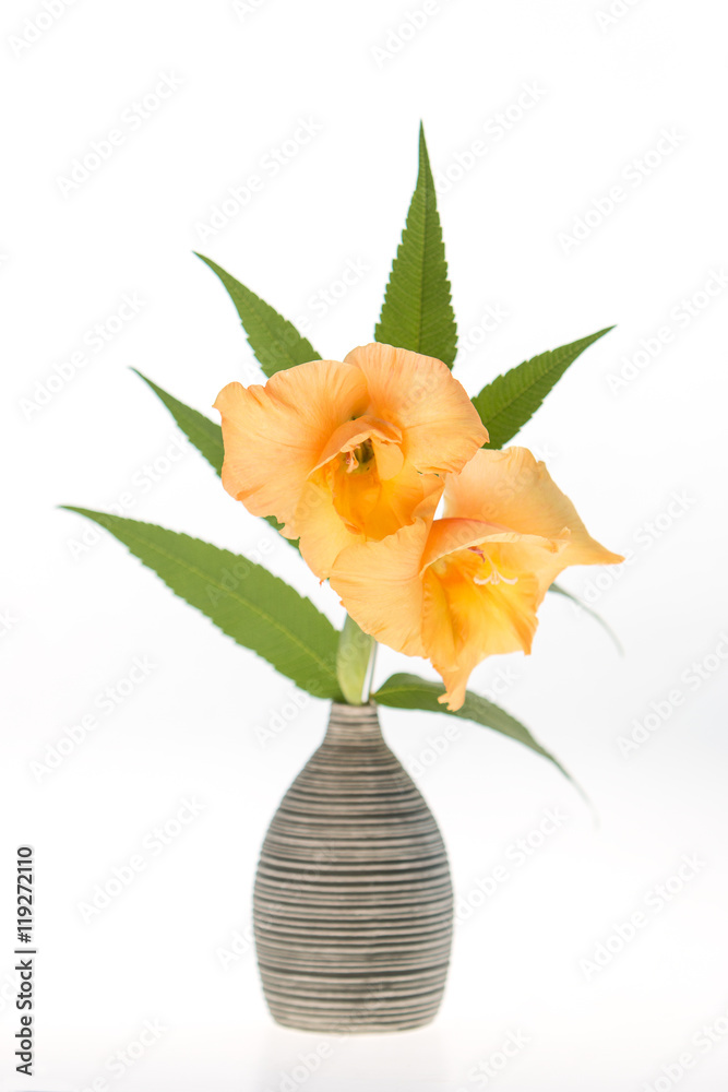 Gladiolen in Vase Stock Photo | Adobe Stock