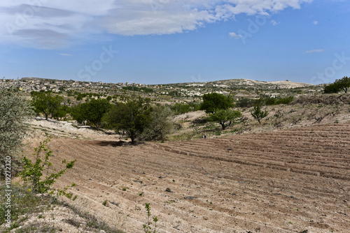 Türkei - Kavak photo