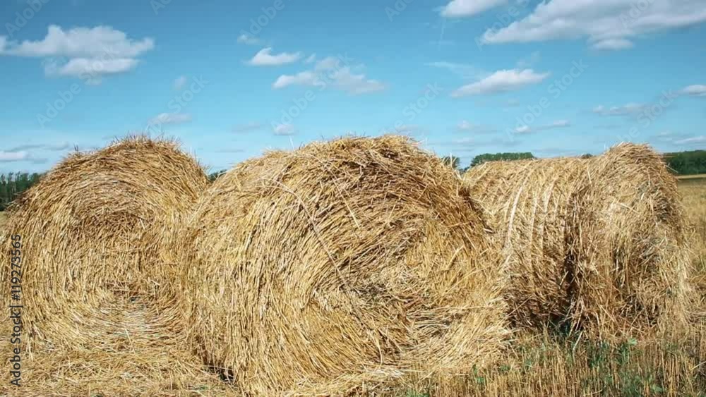 Stubble field with straw bales under cloudy sky. Stubble field with straw bales under cloudy sky.