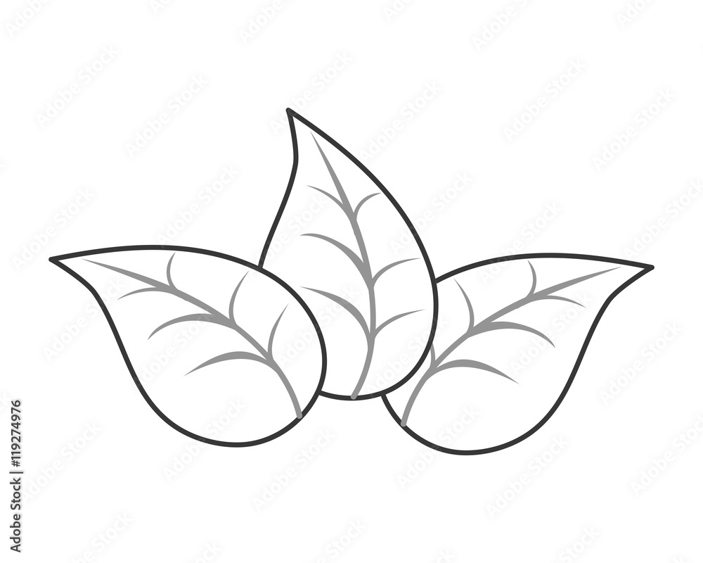 leaf plant nature garden natural botany icon. Flat and isolated design. Vector illustration leaf plant nature garden natural botany icon. Flat and isolated design. Vector illustration