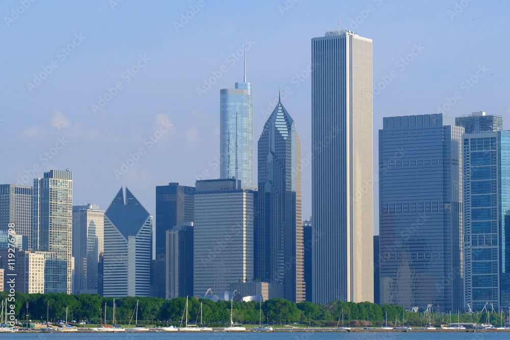 Obraz premium Panoramę Chicago