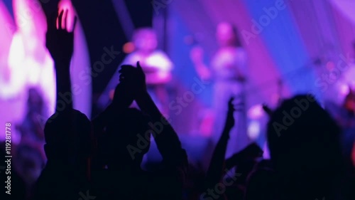 Hands In Air At Concert Slow-Mo