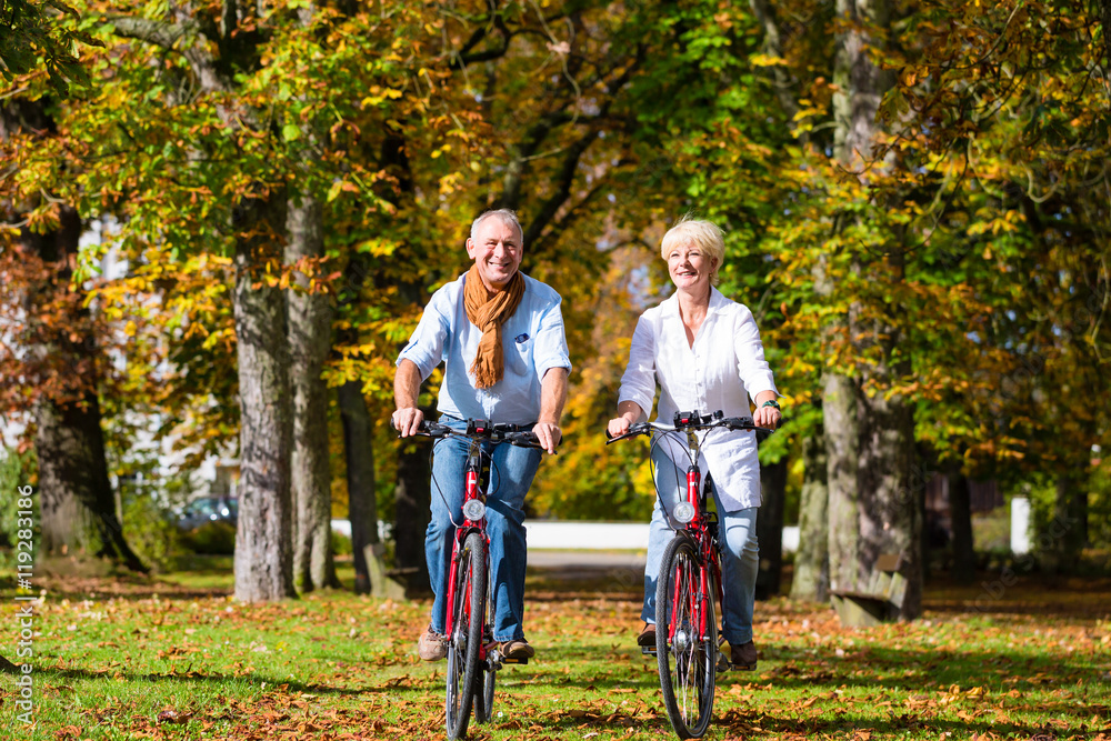 Fototapeta premium Seniors on bicycles having tour in park