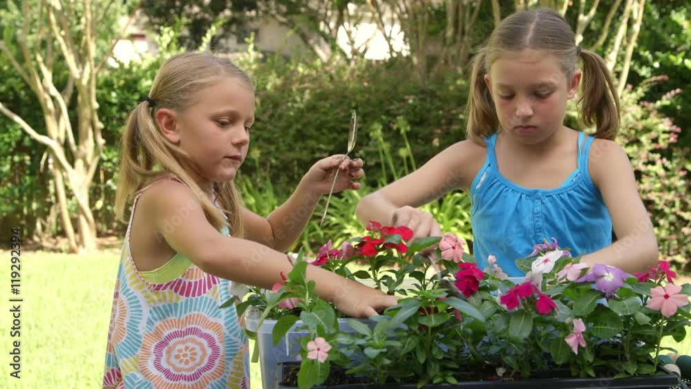 Two little girls in a garden or backyard setting busy planting colorful flowers in a flowerbox. Two little girls in a garden or backyard setting busy planting colorful flowers in a flowerbox.