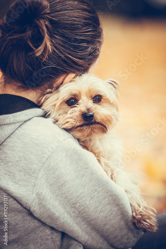 girl with her friend yorkshire terrier