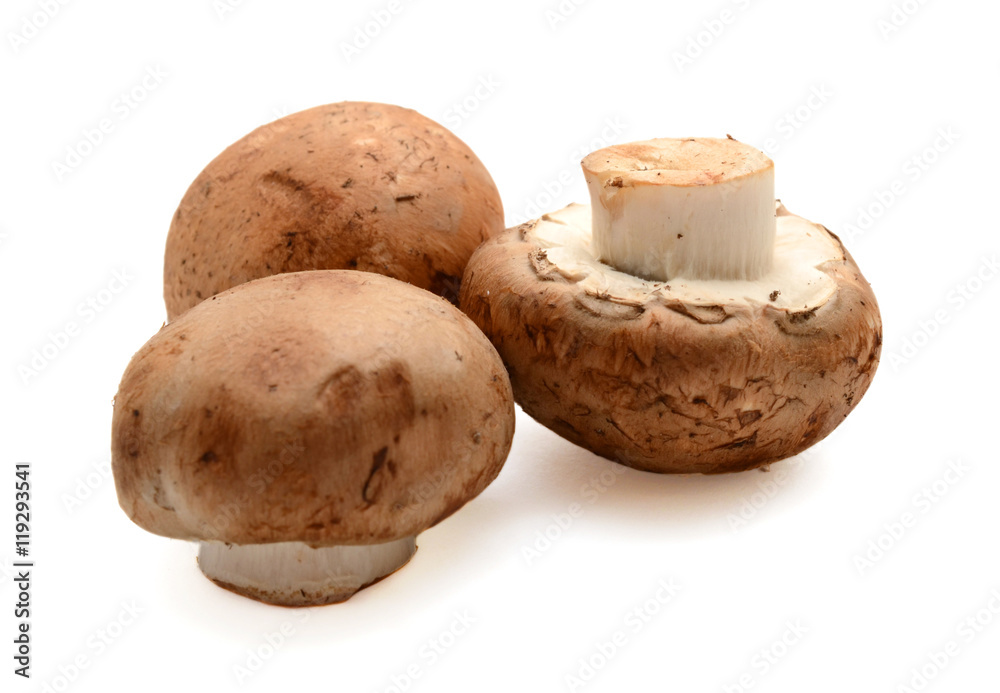 fresh mushroom on a white background fresh mushroom on a white background