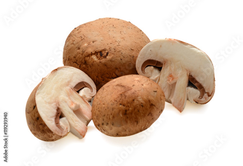fresh mushroom on a white background