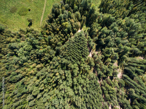 Aerial view of green field with forest at summer time © alexkazachok