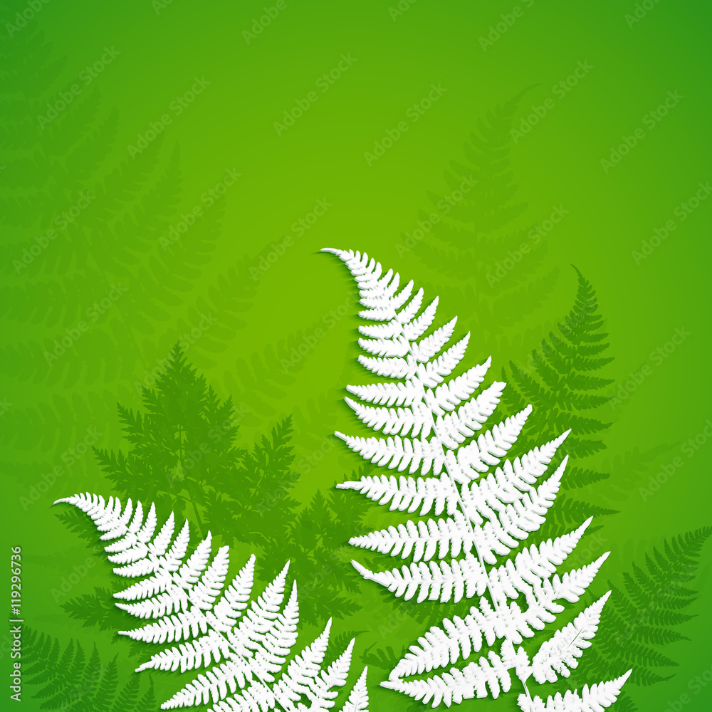 White paper fern leaves on green background