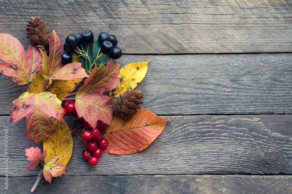 Obraz premium Autumnal plant and berries on wooden background. Top view