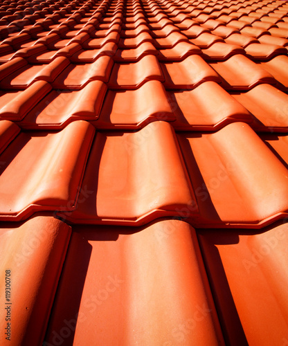 Roof tiles closeup