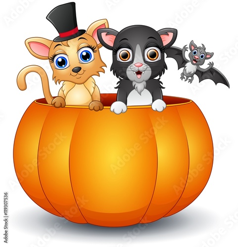 Happy cat and bat cartoon inside pumpkin