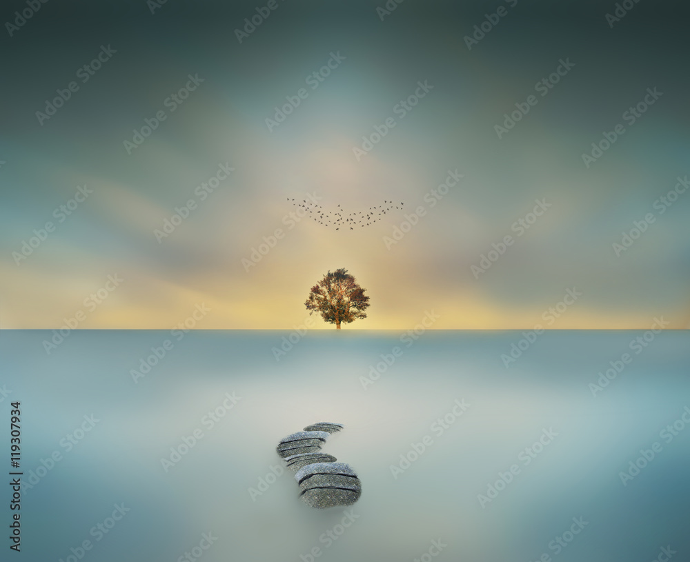 Obraz premium way to heaven magical big tree in waterscape long exposure