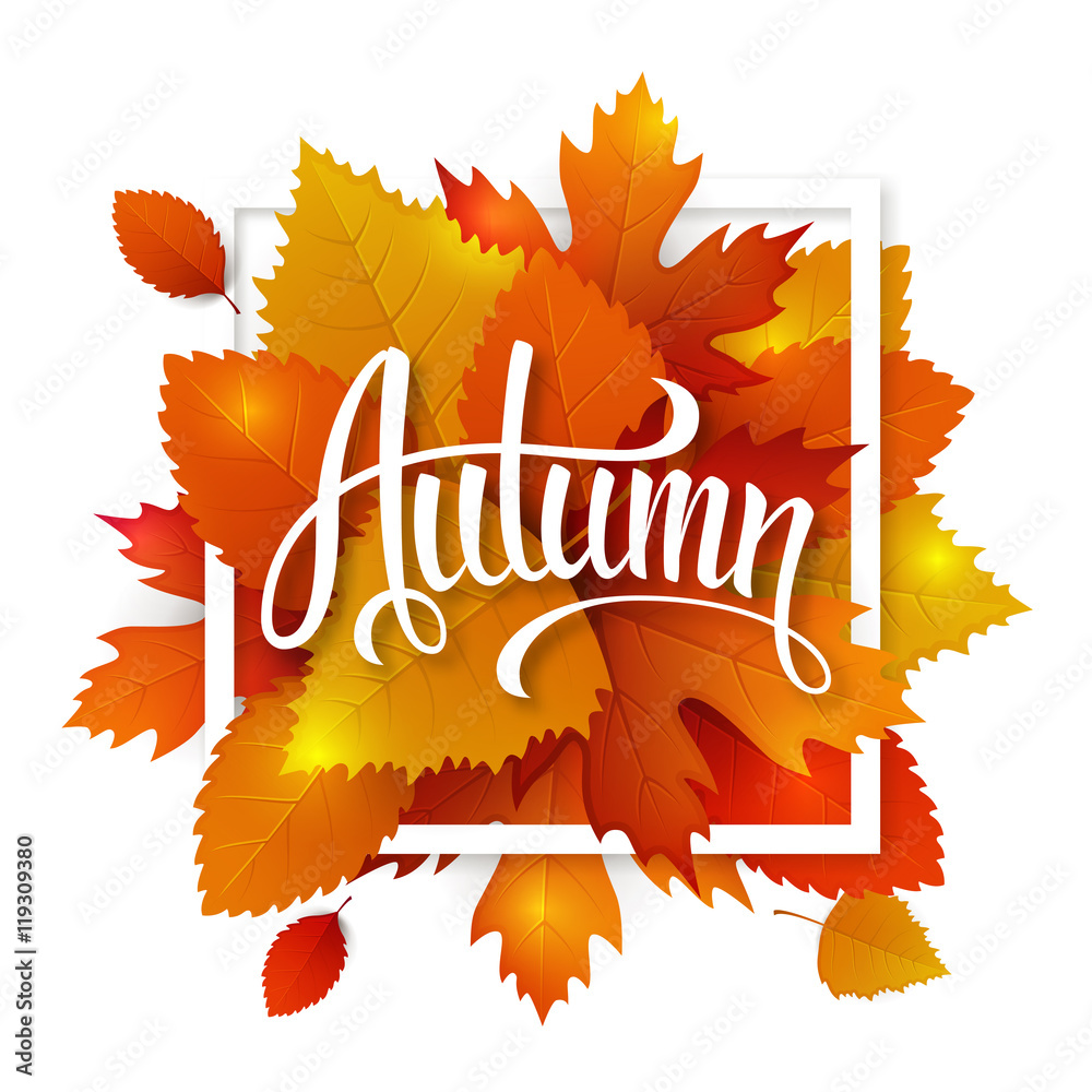 Fototapeta premium Autumn leaves lettering label. Vector hand drawn typography on a fall leaves background