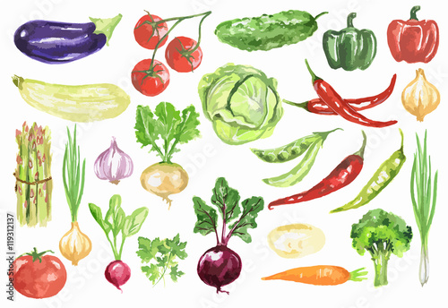 Watercolor vegetables set. Fresh and healthy vegetables on white background. Great source of vitamin.