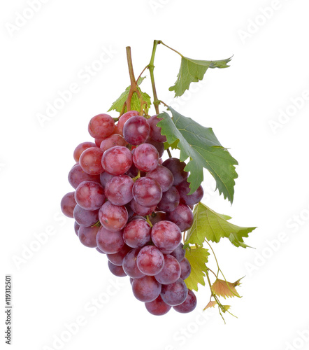 grapes on white background