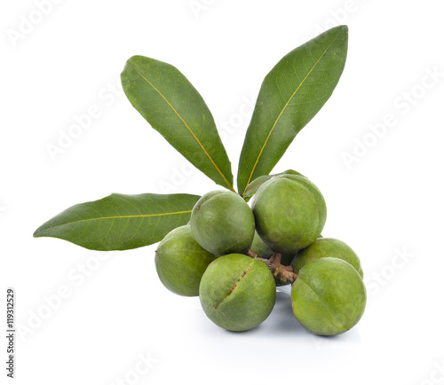 Wallpaper Mural Macadamia Torontodigital.ca