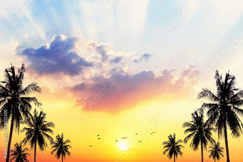 Fototapeta Naklejka Na Ścianę i Meble -  Coconut seaside landscape in the sunset (sunrise),background silhouettes.