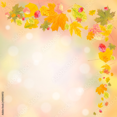 Autumn background 010
