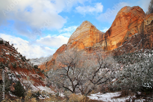 Zion Peaks In Winter