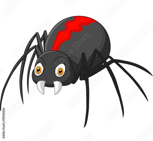 Angry spider cartoon photo