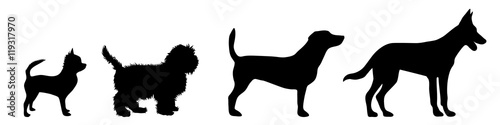 Vector illustration of dog.