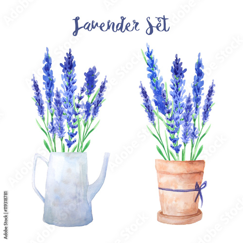 Watercolor Lavender bouquets set