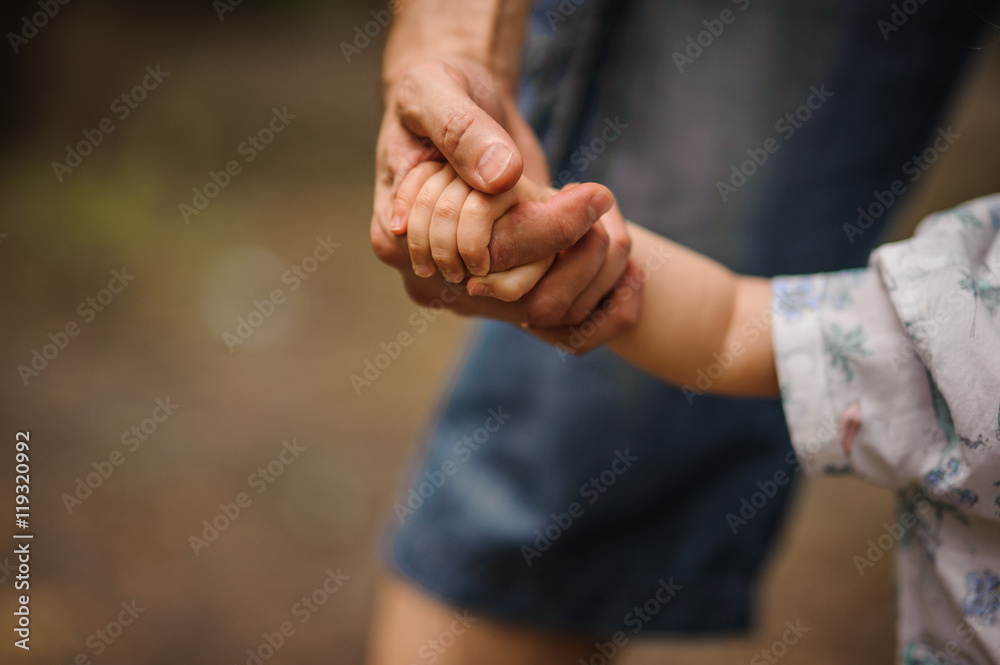 father's hand lead his child son in summer forest nature outdoor,