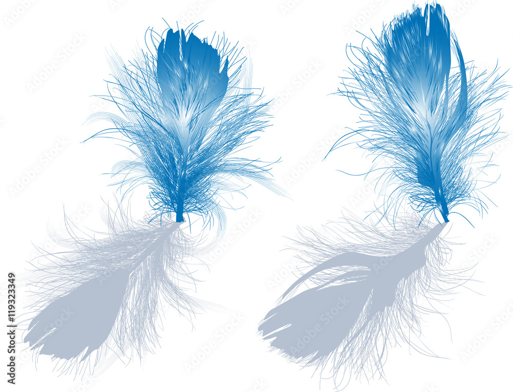 Obraz premium two light blue feathers with grey shadows