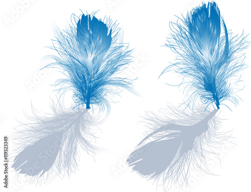 two light blue feathers with grey shadows