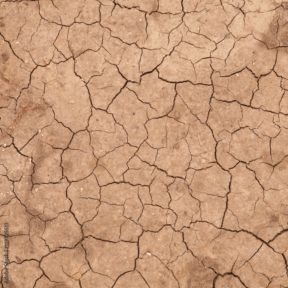 dry cracked earth. background dry cracked earth. background