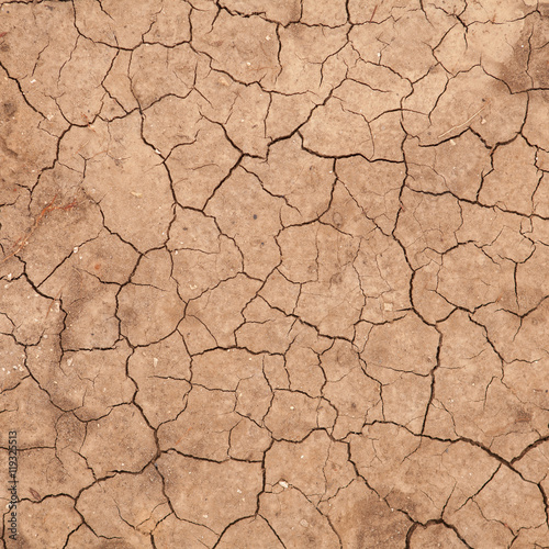 dry cracked earth. background