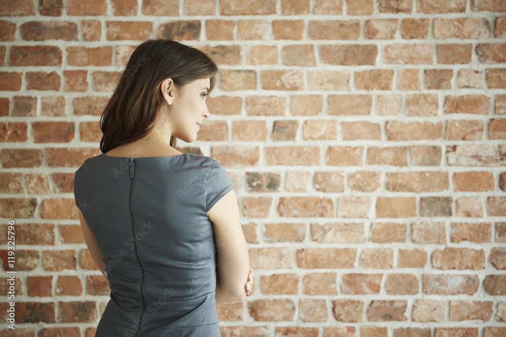 Rear view of elegant woman on the wall. Rear view of elegant woman on the wall.