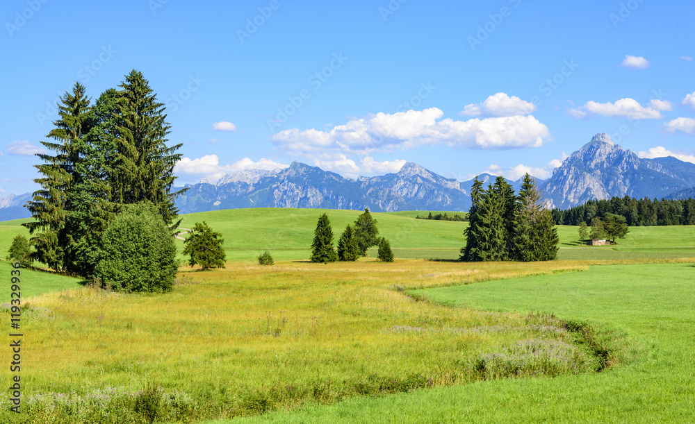 Naturlandschaft im Ostallgäu