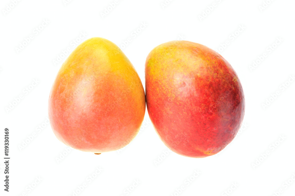Two ripe mango Two ripe mango