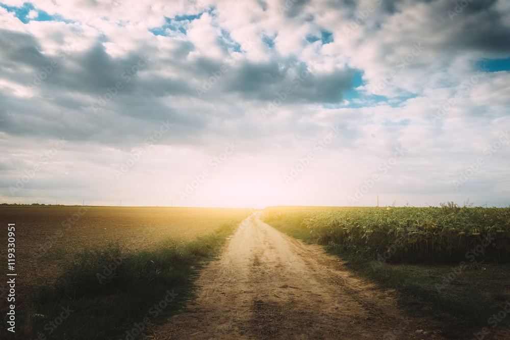 Country road sunrise