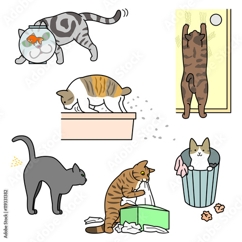 bad cats