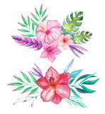 Watercolor tropical flowers, leaves and plants