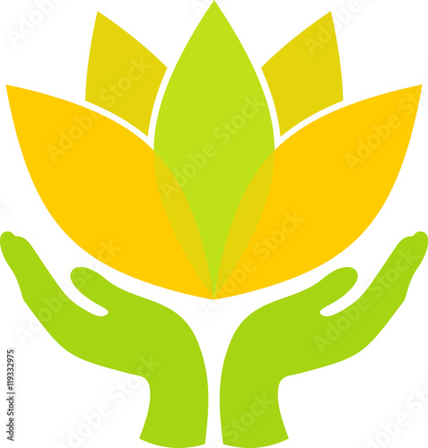 Lotus in hands