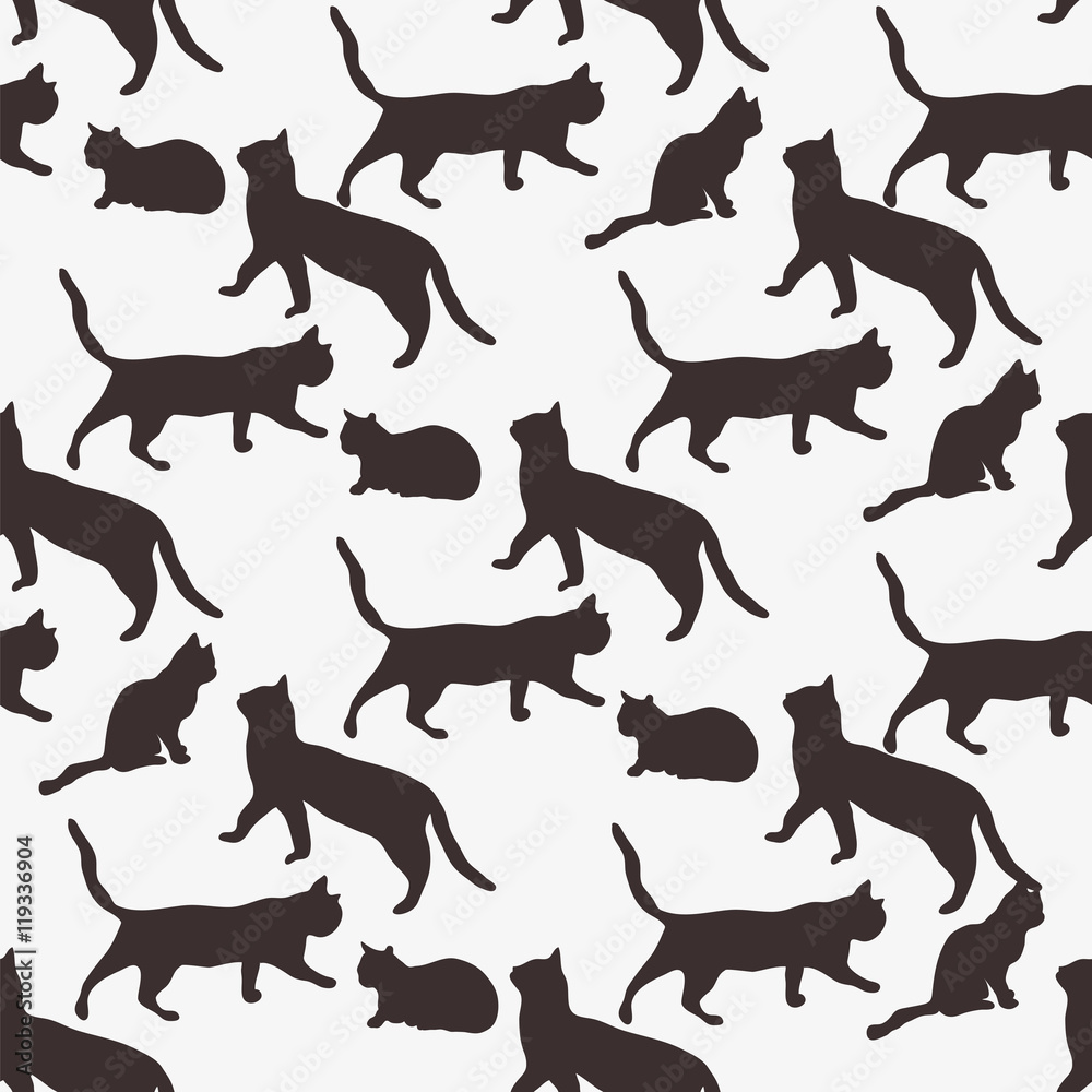 Background of the cats.